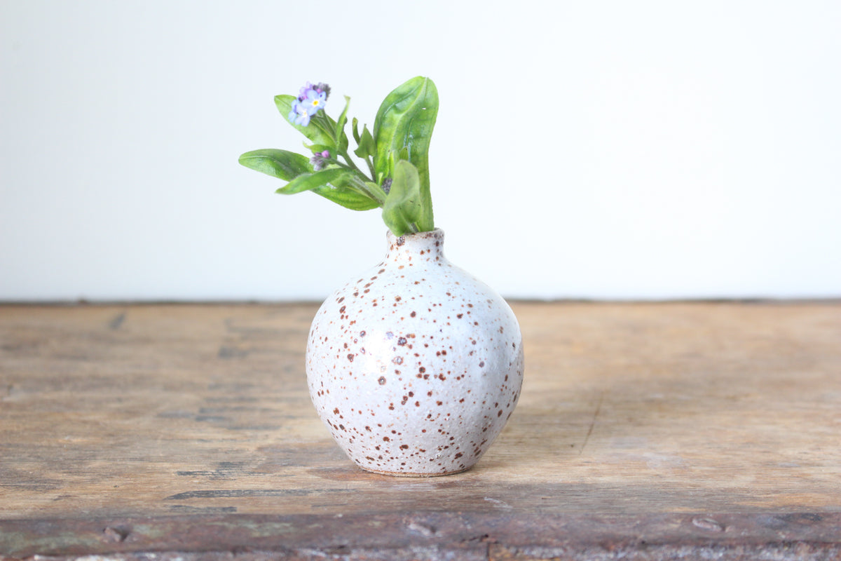 Bud Vase in Speckled Warm White: Six
