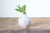 Bud Vase in Speckled Warm White: Six