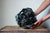 Preorder: Anthos Vessel