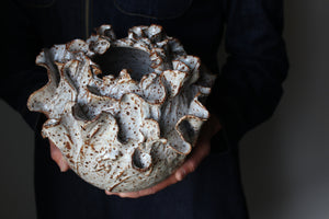Anthos Vessel