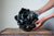 Preorder: Anthos Vessel