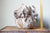 Preorder: Anthos Vessel
