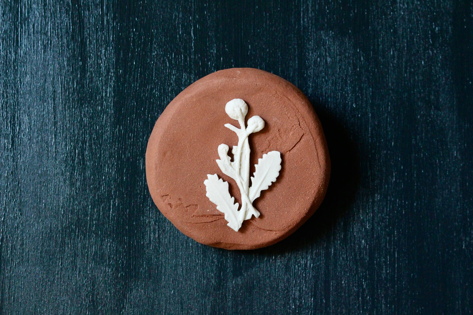 Herbarium: Botanicals in Porcelain