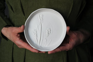 Herbarium: Botanicals in Porcelain White: Thirteen