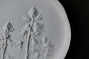 Herbarium: Botanicals in Porcelain White: Five