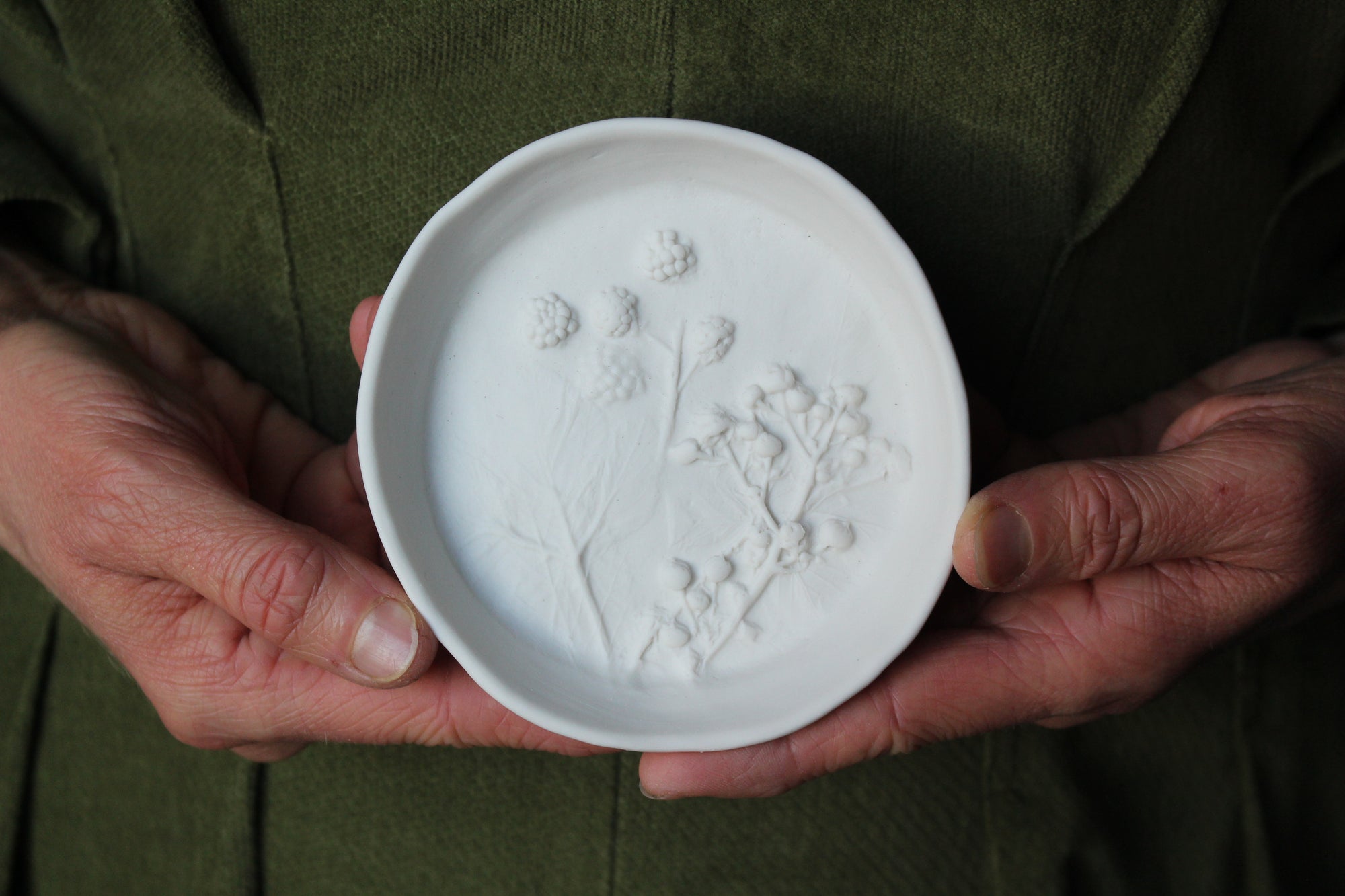 Herbarium: Botanicals in Porcelain White: Sixteen