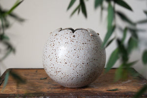 Scalloped Orb Vase in Speckled White