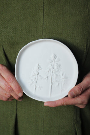 Herbarium: Botanicals in Porcelain White: Five