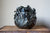 Preorder: Anthos Vessel