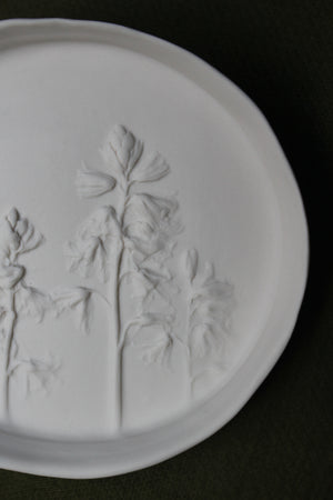 Herbarium: Botanicals in Porcelain White: Five