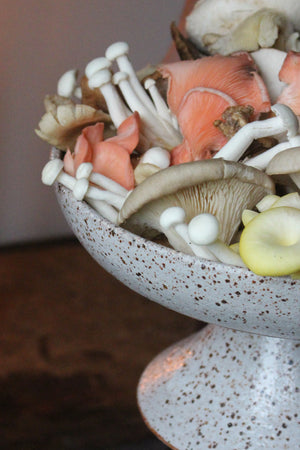 Pedestal Dish in Speckled Cream/White