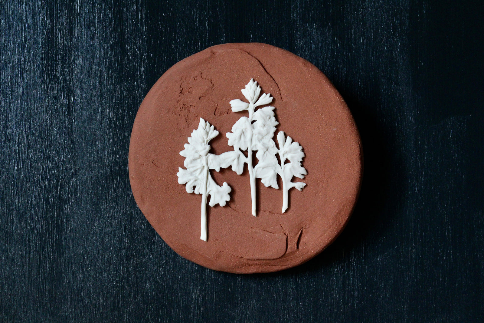 Herbarium: Botanicals in Porcelain