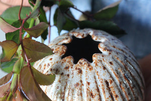 Scalloped Vase in Speckled White