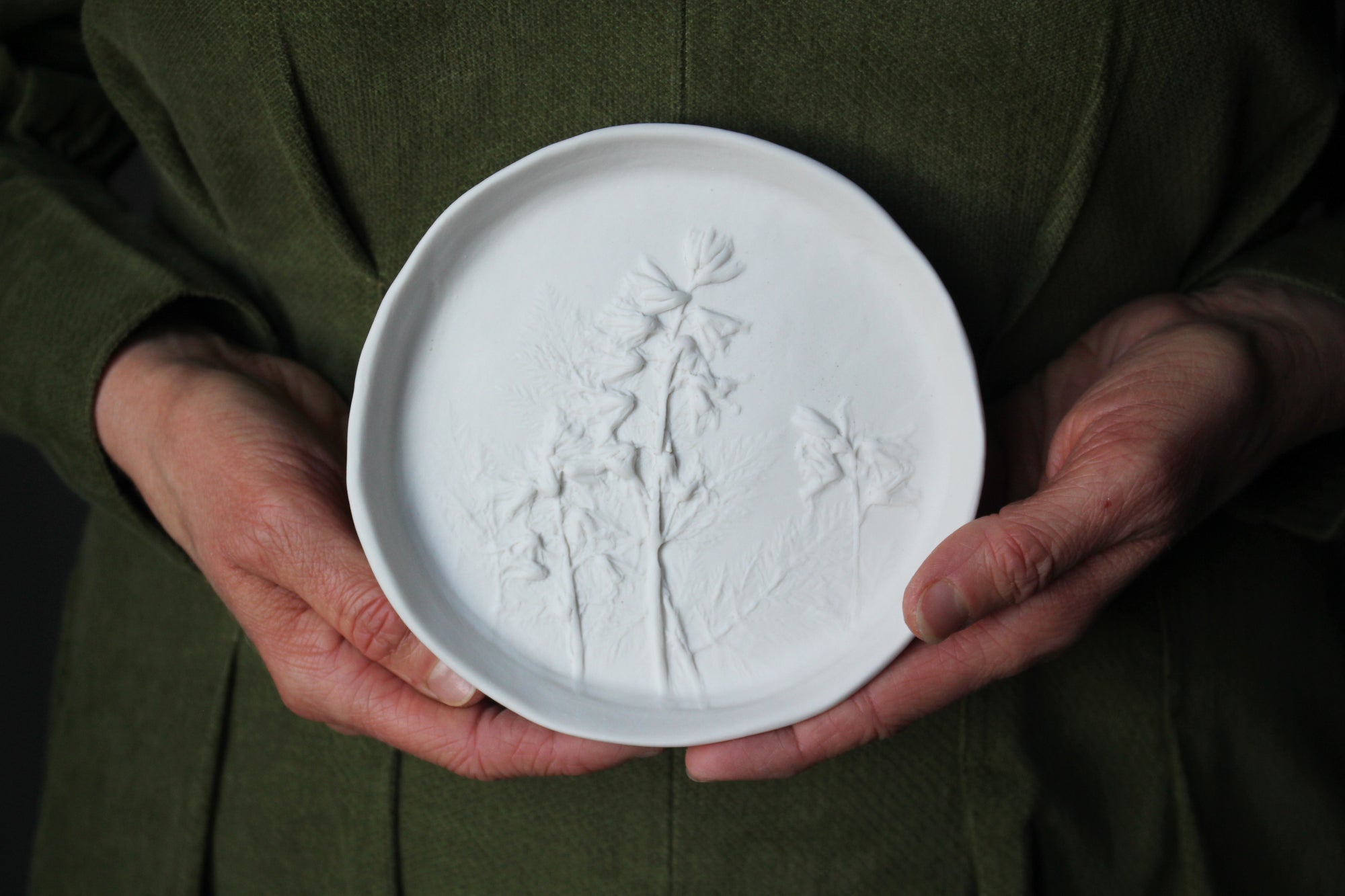 Herbarium: Botanicals in Porcelain White: Twelve
