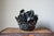 Preorder: Anthos Vessel