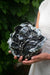 Preorder: Anthos Vessel
