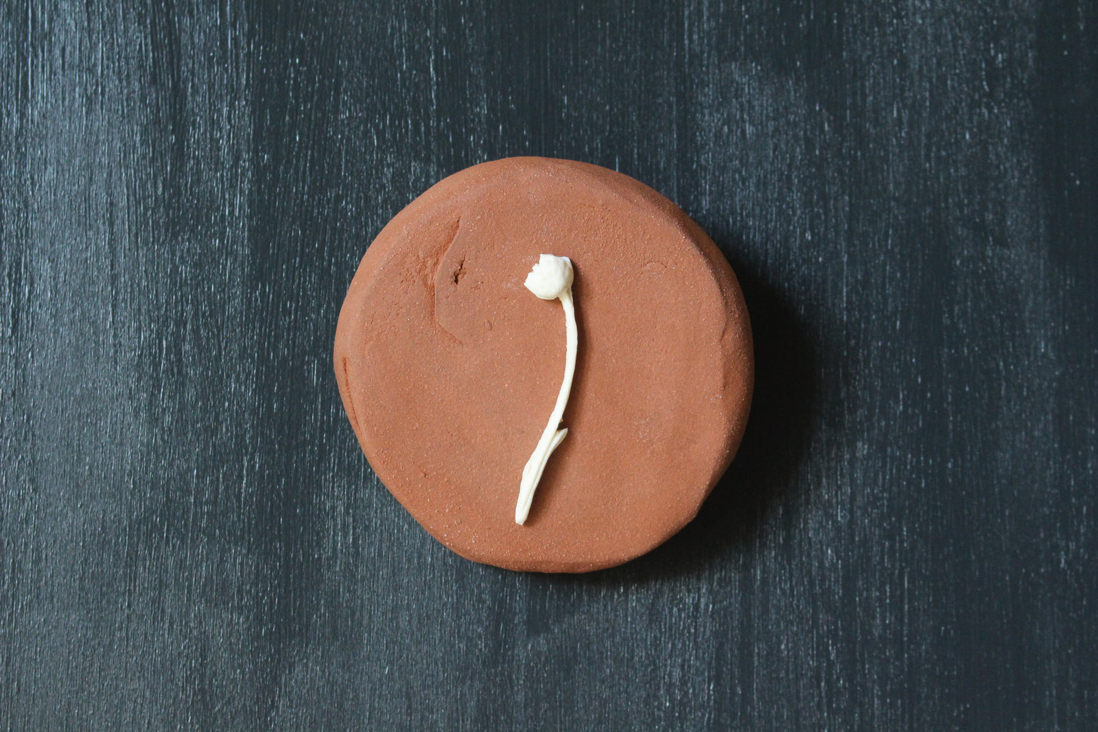 Slightly Flawed Herbarium: Botanicals in Porcelain