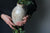 Large Vase in Speckled White: Ten