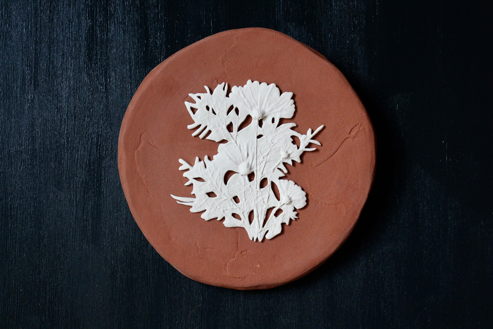 Herbarium: Botanicals in Porcelain