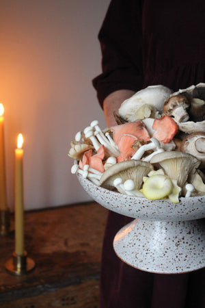 Pedestal Dish in Speckled Cream/White