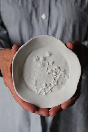 Herbarium: Botanicals in Porcelain White: Three
