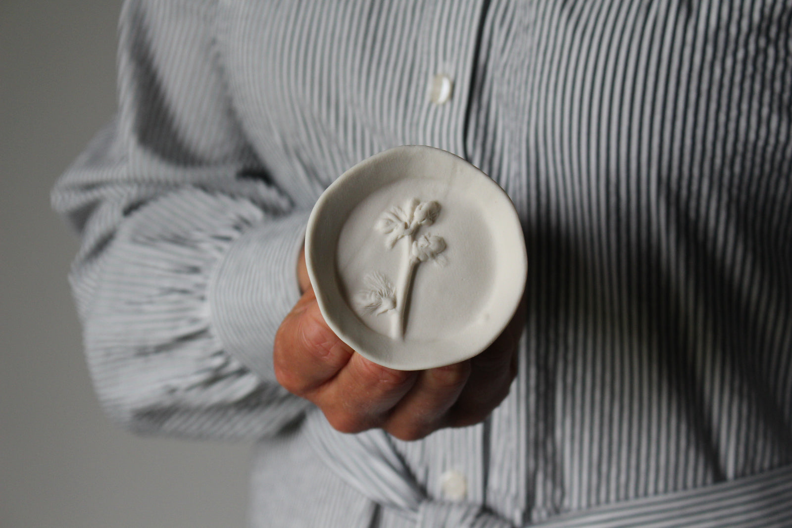 Herbarium: Botanicals in Porcelain White: Five