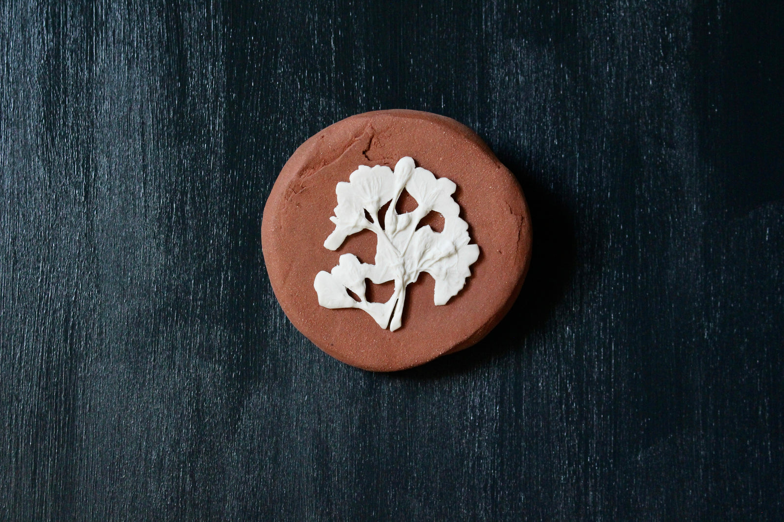 Herbarium: Botanicals in Porcelain