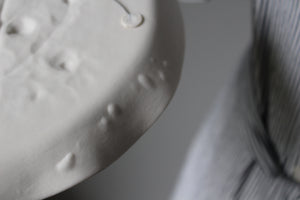 Slightly Flawed Herbarium: Botanicals in Porcelain