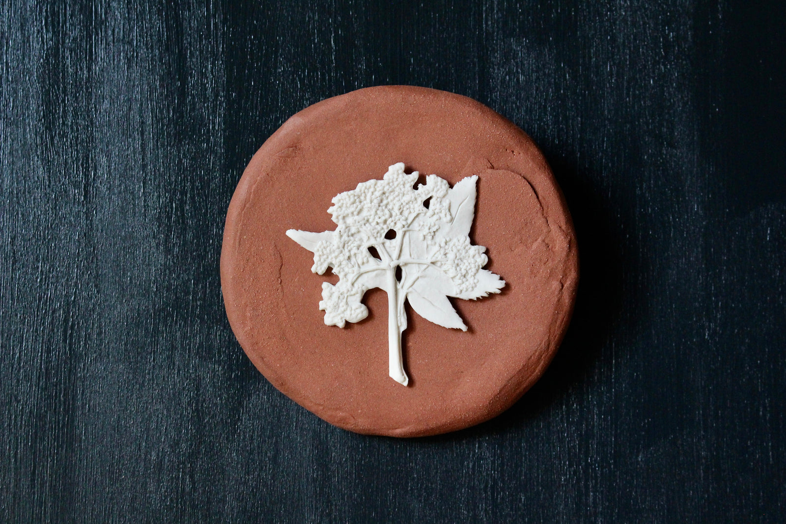 Herbarium: Botanicals in Porcelain