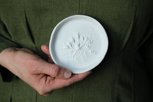 Herbarium: Botanicals in Porcelain White: Seventeen