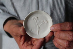 Herbarium: Botanicals in Porcelain White: Six