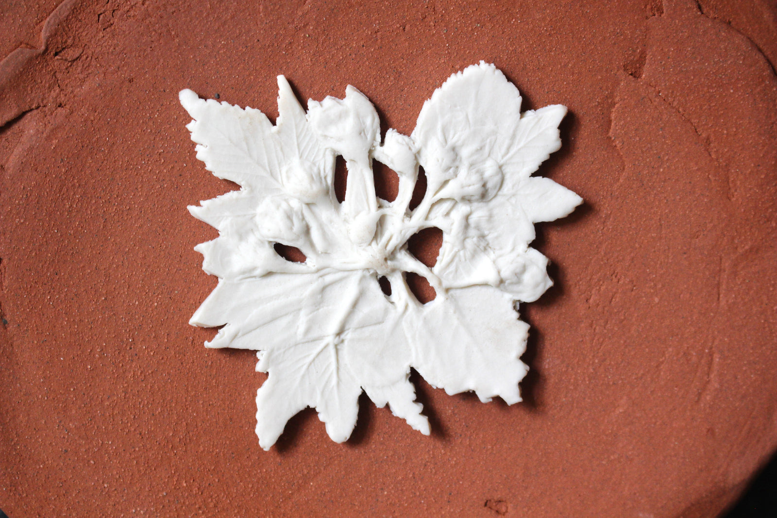 Herbarium: Botanicals in Porcelain