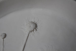 Slightly Flawed Herbarium: Botanicals in Porcelain
