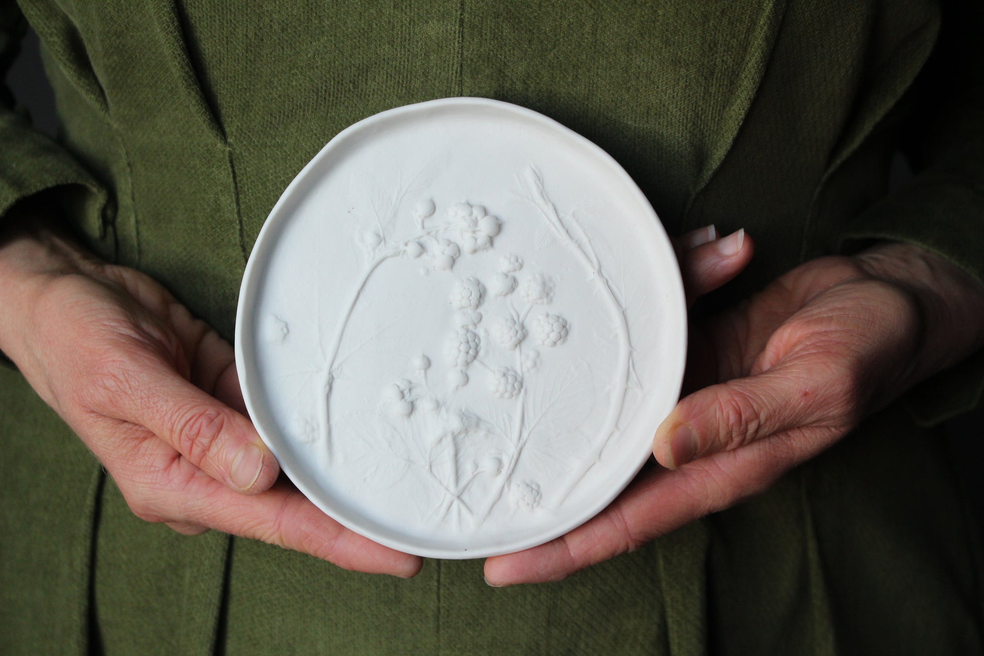 Herbarium: Botanicals in Porcelain White: Fourteen