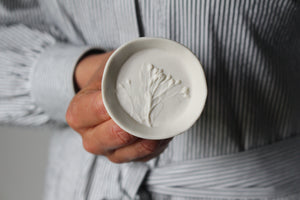 Herbarium: Botanicals in Porcelain White: Eight