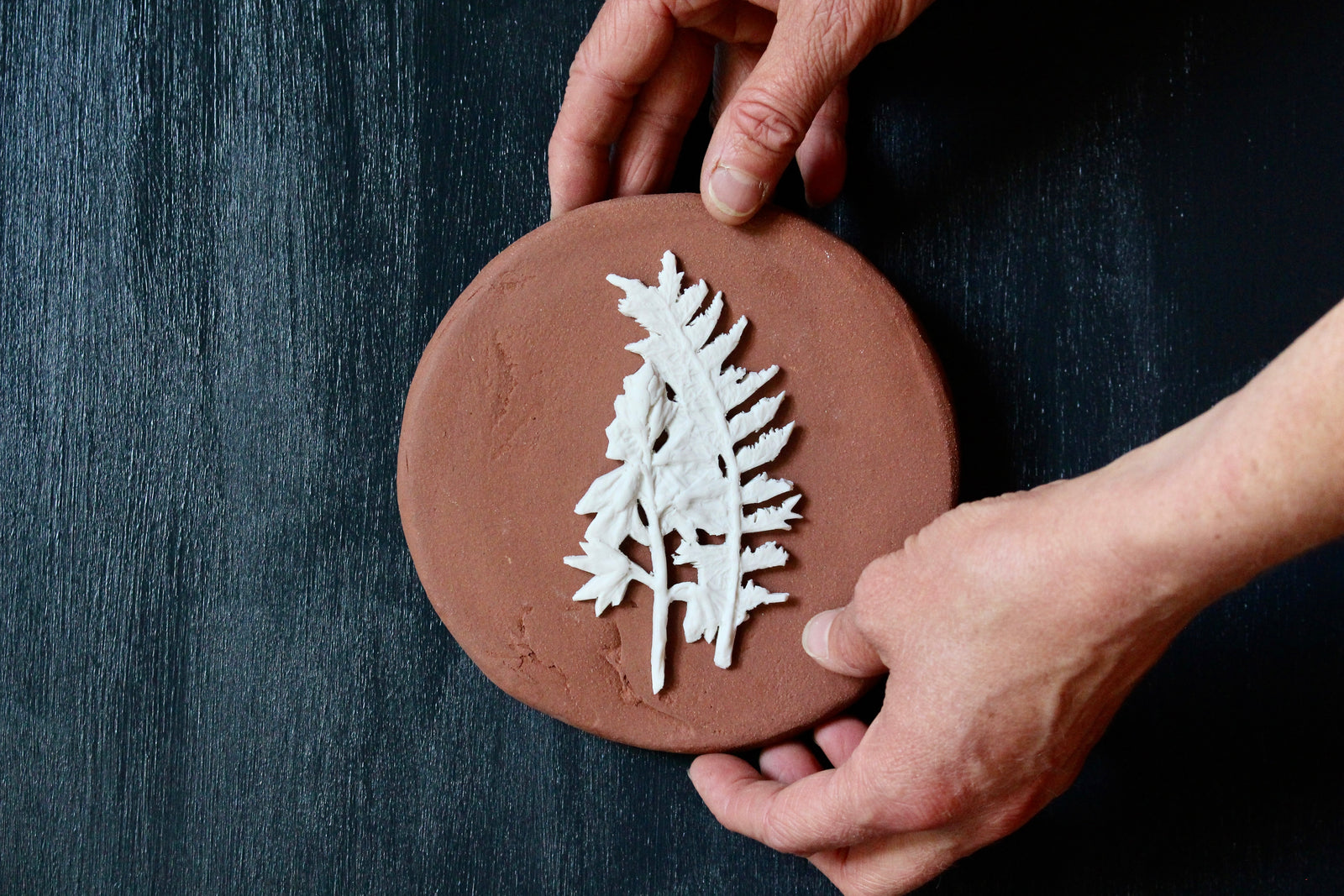 Herbarium: Botanicals in Porcelain