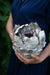Preorder: Anthos Vessel