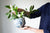 Orb Vase in Blue: Four