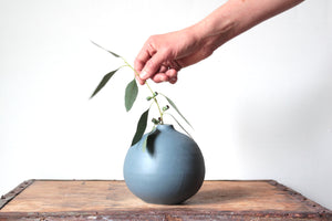 Dry Blue Vase